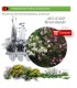 NERIUM OLEANDER (Adelfa de colores) BF X 40 Ud