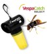 VESPACATCH SELECT captura selectiva para avispones