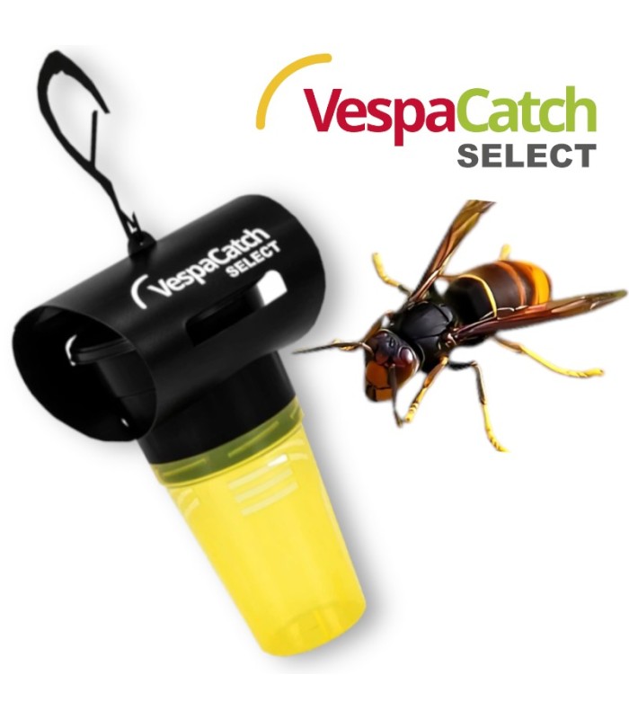 VESPACATCH SELECT captura selectiva para avispones