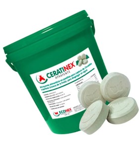 CERATINEX® ATRAYENTE  para moscas de la fruta en pastillas  0,25 KG