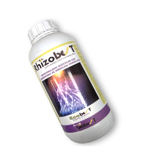 RHIZOBEST 1L enraizante