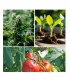 MESENGER bioestimulante foliar con proteína harpin