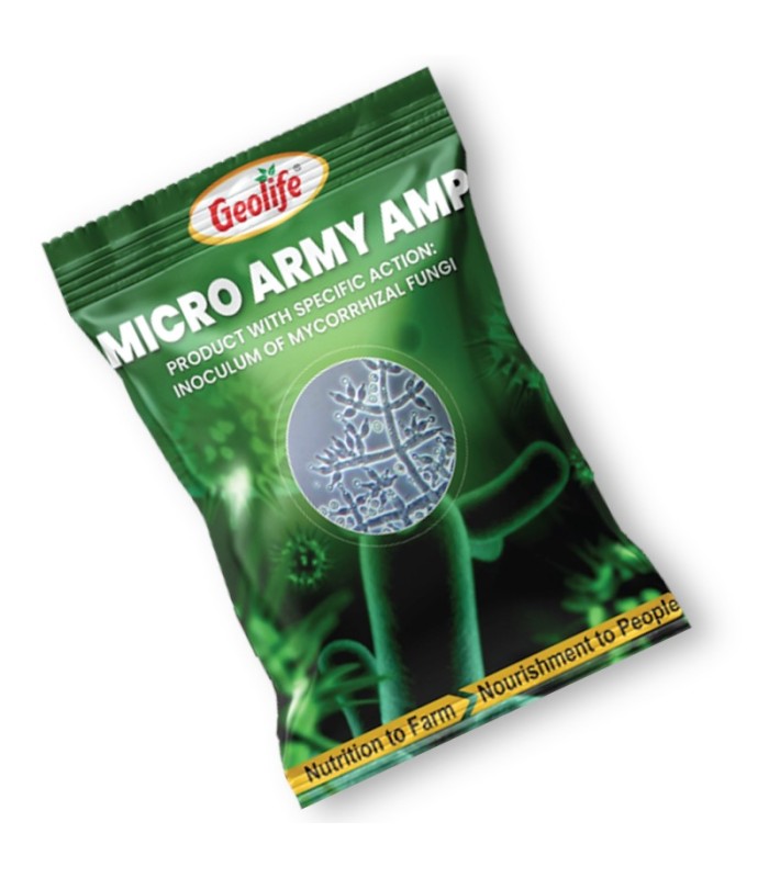 MICRO ARMY AMP (Ampelomyces ssp.)