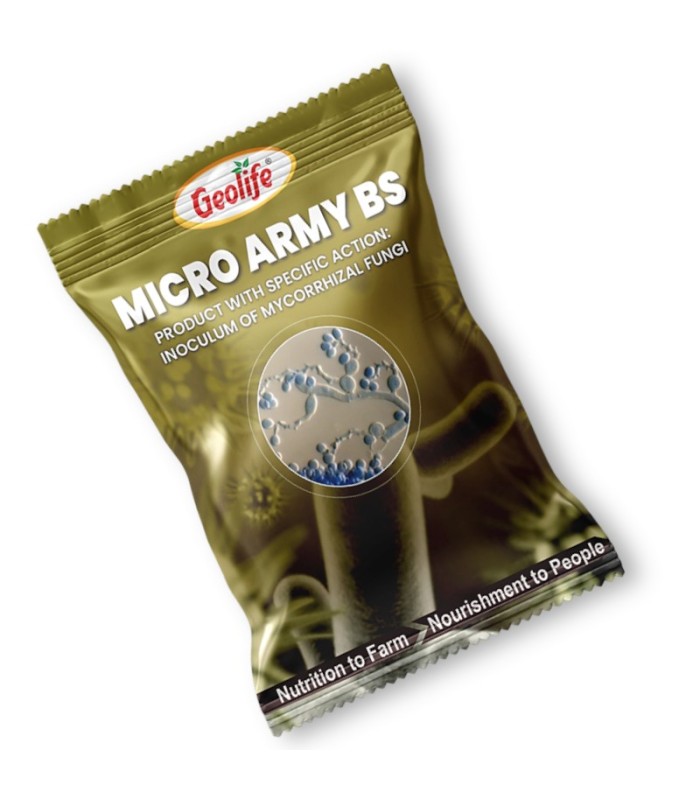 MICRO ARMY BS (Bacillus subtilis)
