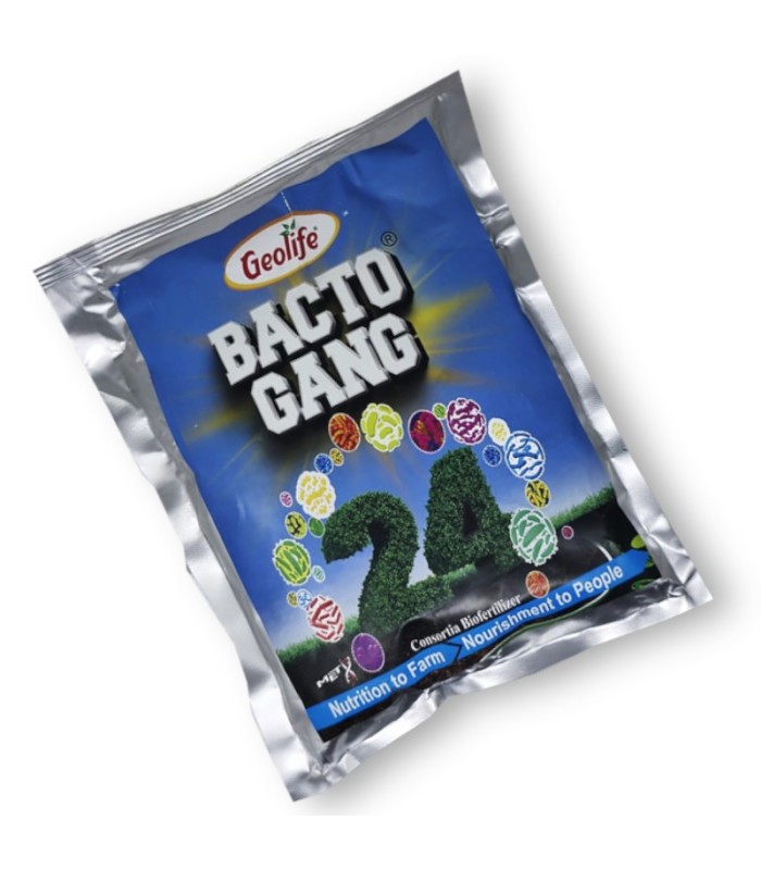 BACTOGANG 24 cóctel biofertilizante de alto rendimiento