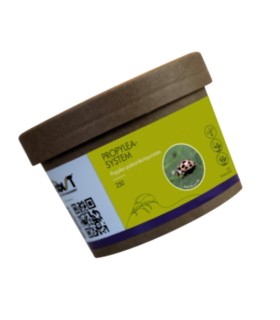 PROPYLEA SYSTEM 250 mariquitas depredadoras de pulgones