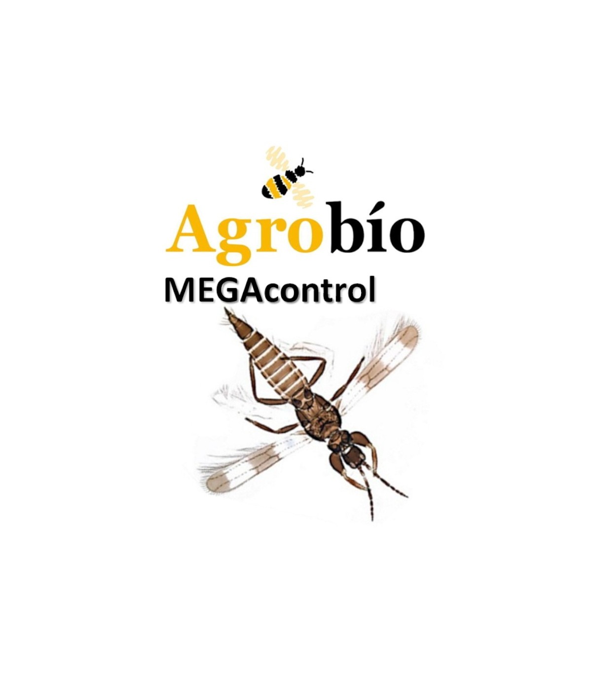MEGAcontrol de Agrobío (1.000 u.) | Depredador de Trips Parvispinus