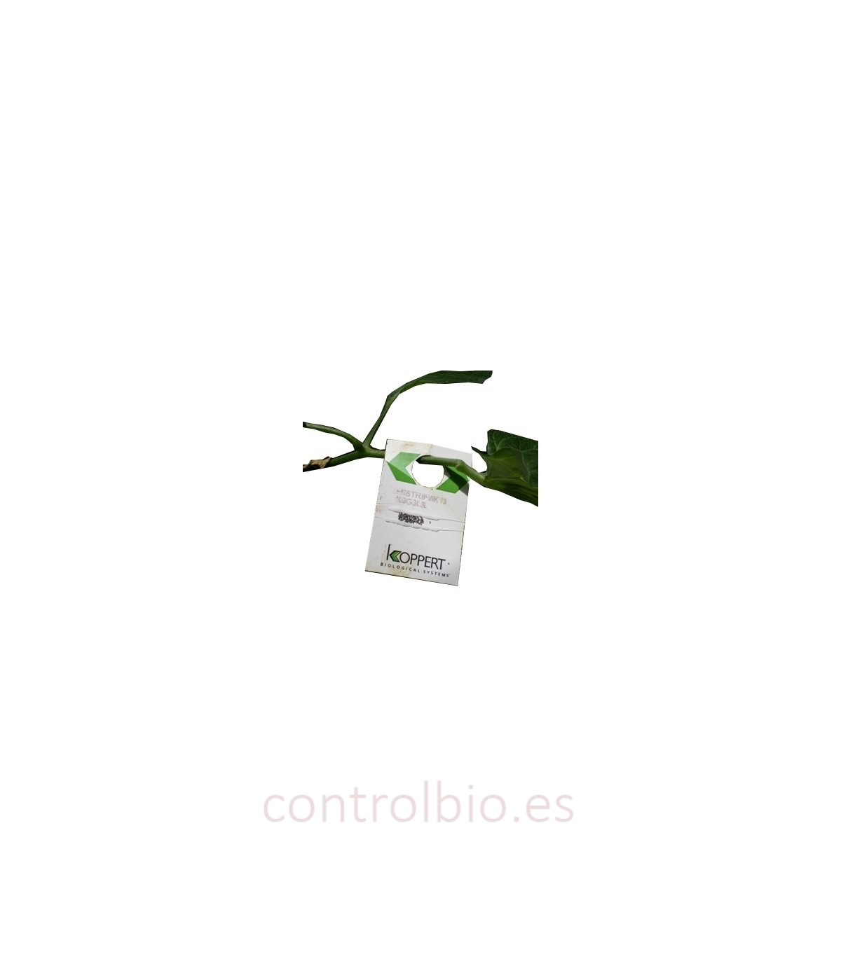 Enstrip 3.000