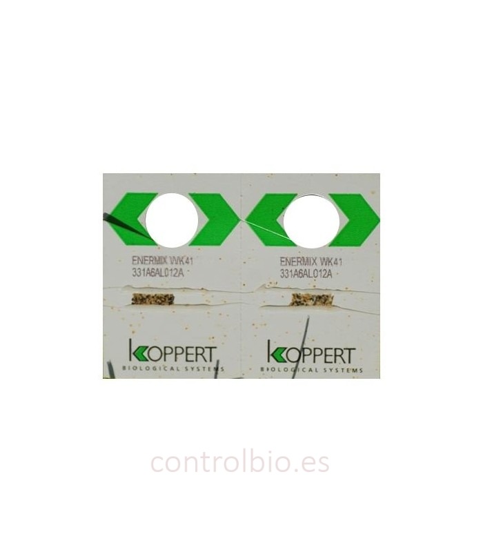 Enermix