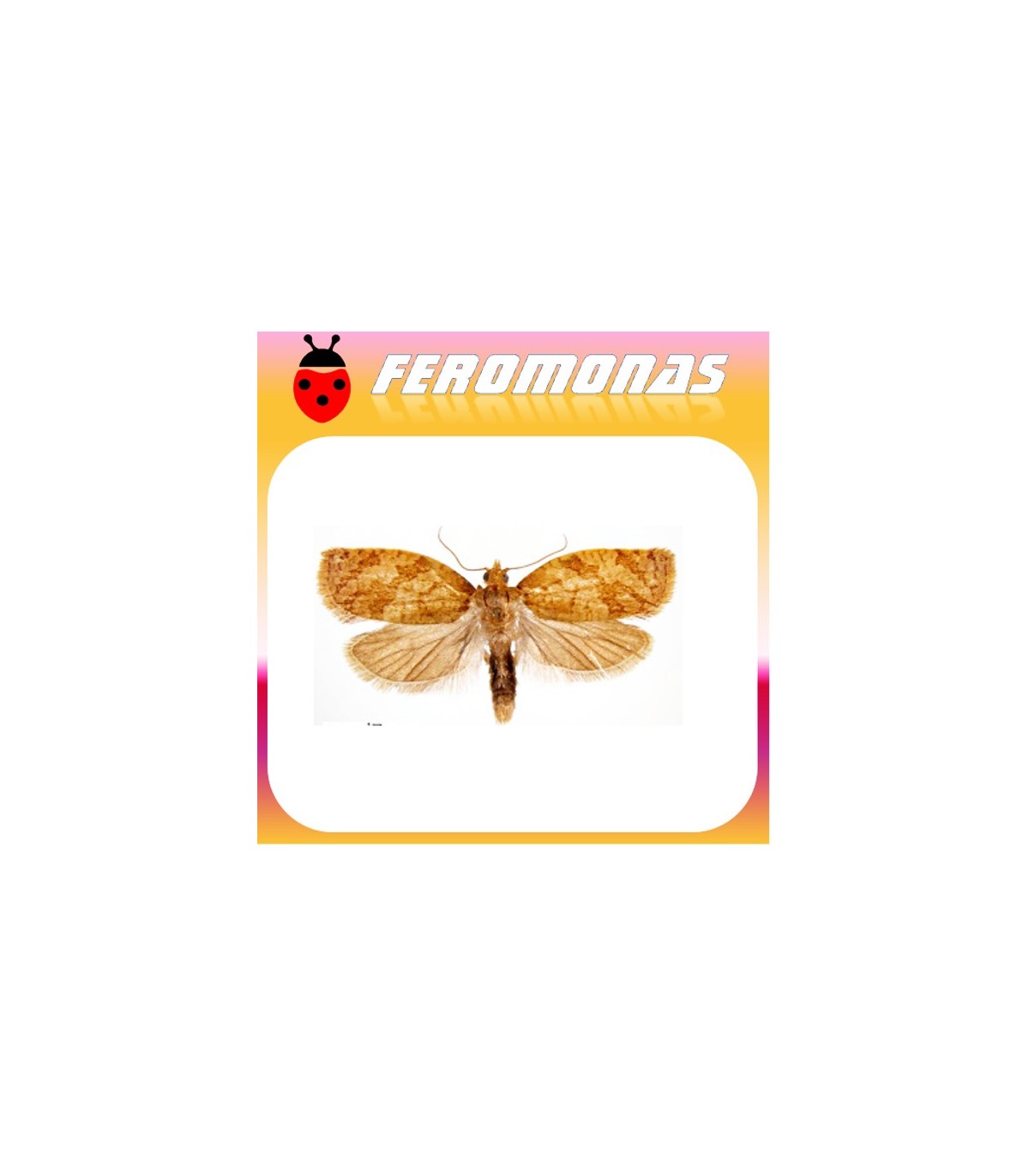 Feromonas para Adoxophyes orana  capua de los frutales