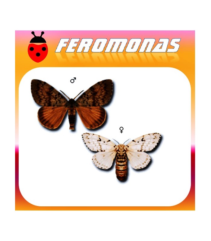 Feromonas para LYMANTRIA DISPAR Lagarta peluda de la encina