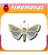 Feromonas para MARGARONIA UNIONALIS Glifodes