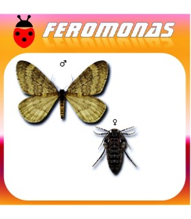Feromonas para OPEROPHTERA (CHEIMATOBIA) BRUMATA Polilla de invierno