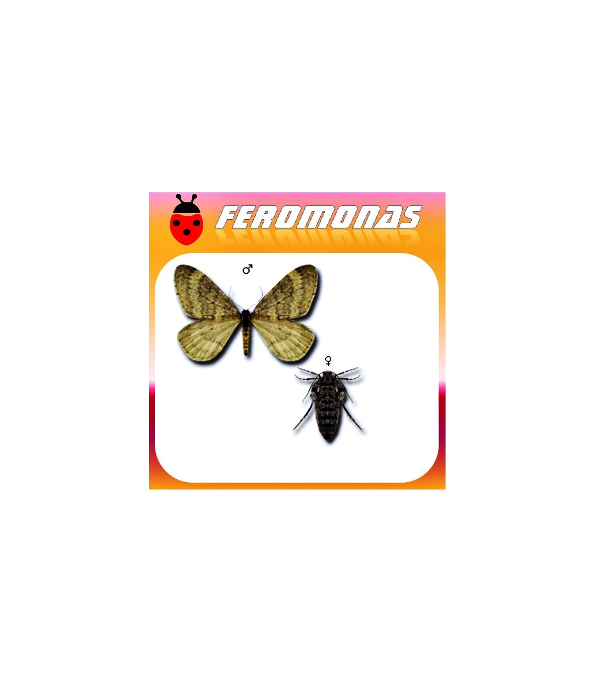 Feromonas para OPEROPHTERA (CHEIMATOBIA) BRUMATA Polilla de invierno
