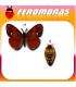 Feromonas para ORGYIA ANTIQUA Orgia