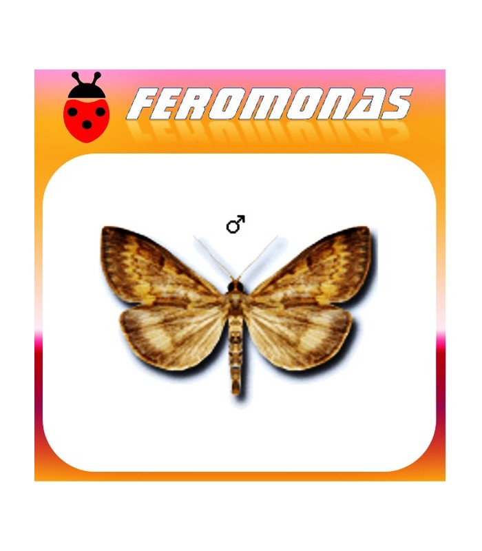 Feromonas para OSTRINIA NUBILALIS Tipo trans Taladro del maiz