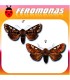 Feromonas para PANOLIS FLAMMEA Polilla de la belleza del pino