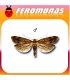 Feromonas para PECTINOPHORA MALAVELLA