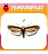 Feromonas para PLUTELLA XYLOSTELLA Polilla de las crucíferas