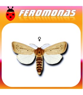 Feromonas para SESAMIA CALAMISTIS Barrenador del maiz