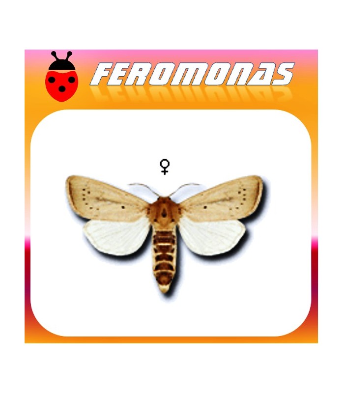 Feromonas para SESAMIA CALAMISTIS Barrenador del maiz