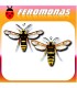 Feromonas para SESIA APIFORMIS Polilla avispa
