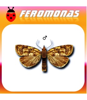 Feromonas para Sparganothis pilleriana Piral de la vid