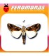Feromonas para spodoptera littoralis rosquilla negra