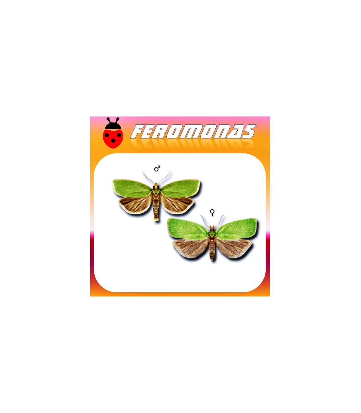 Feromonas para 	 Tortrix viridiana Tortricido verde de la encina