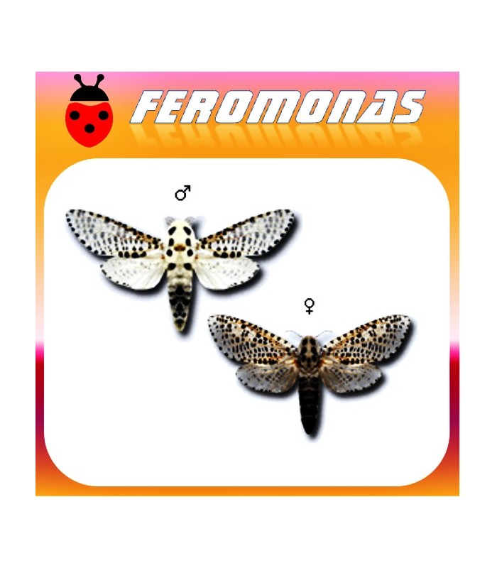 Feromonas para Zeuzera pyrina barrenador amarillo