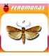 Feromonas para EPHESTIA CAUTELLA Polilla bandeada de los higos secos