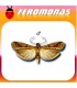 Feromonas para EPHESTIA ELUTELLA Polilla del cacao