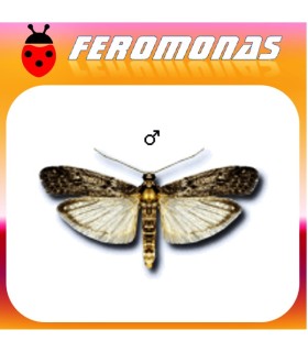Feromonas para EPHESTIA (ANAGASTA) KUEHNIELLA Polilla de la harina