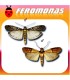Feromonas para EPHESTIA / PLODIA Polillas de la harina