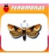 Feromonas para EUPOECILIA (CLYSIA) AMBIGUELLA Cochylis de la vid