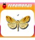 Feromonas para EVERGESTIS FORFICALIS Pirálido de la col