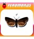 Feromonas para GRAPHOLITA (LASPEYRESIA) FUNEBRANA Polilla de las ciruelas