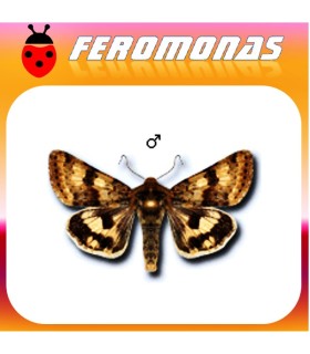 Feromonas para HELIOTHIS VIRIPLACA Veteado del trébol