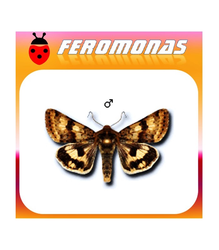 Feromonas para HELIOTHIS VIRIPLACA Veteado del trébol
