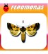Feromonas para HYDROECIA (GORTYNA) XANTHENES Taladrio de la alcachofa