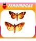 Feromonas para CHILO (CHILOTRAEA) INFUSCATELLUS Perforador del vástago de la caña de azucar