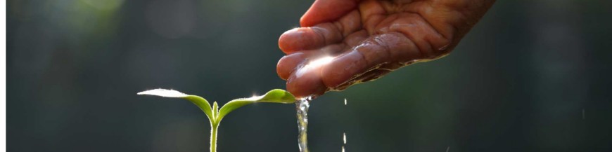 Venta de bioestimulantes ecológicos