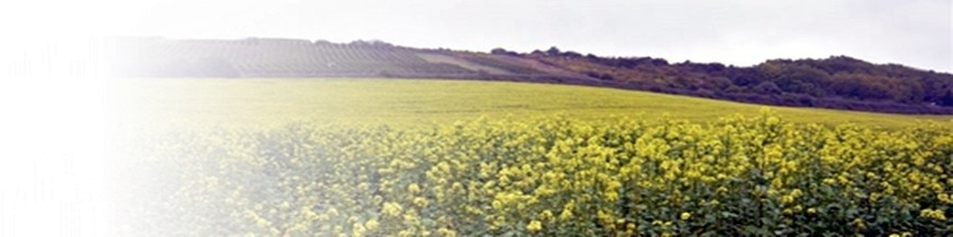 Semillas de plantas biocidas