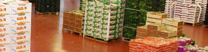TRAMPAS DE ALMACÉN