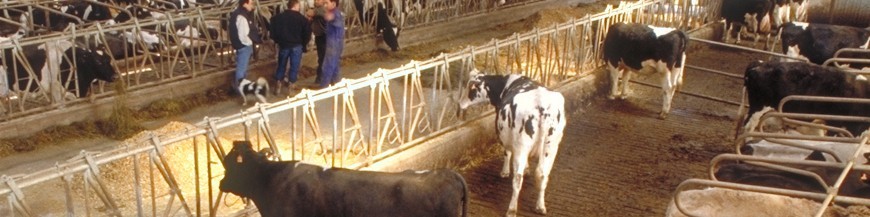 TRAMPAS PARA GRANJAS