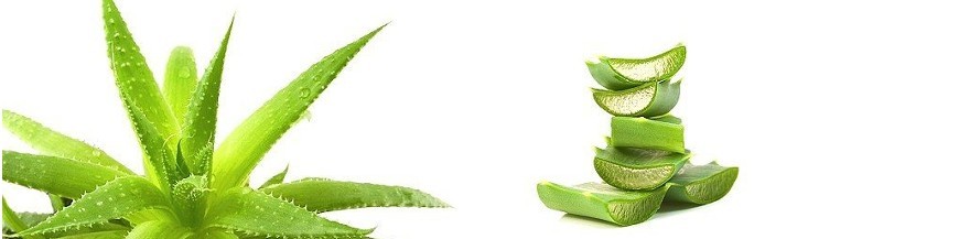 AGRICULTURA ECOLÓGICA