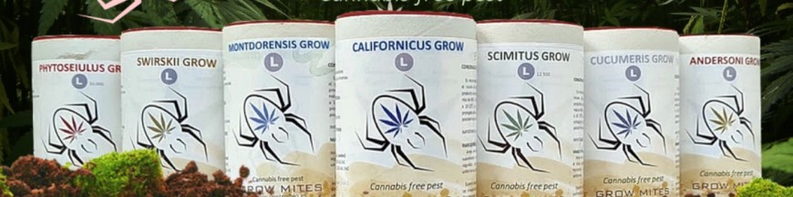 Control biologico de marihuana