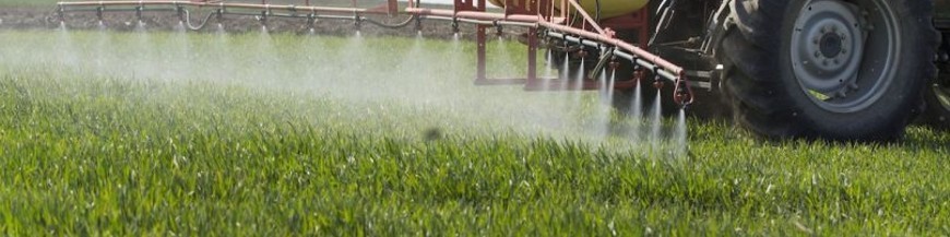 mojante ecológico