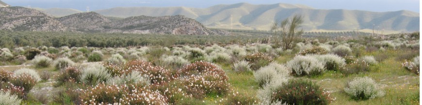Biodiversidad del agro ecosistema