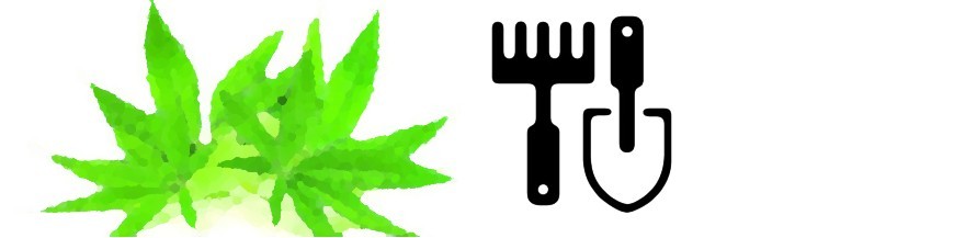 PROTOCOLO DE CULTIVO